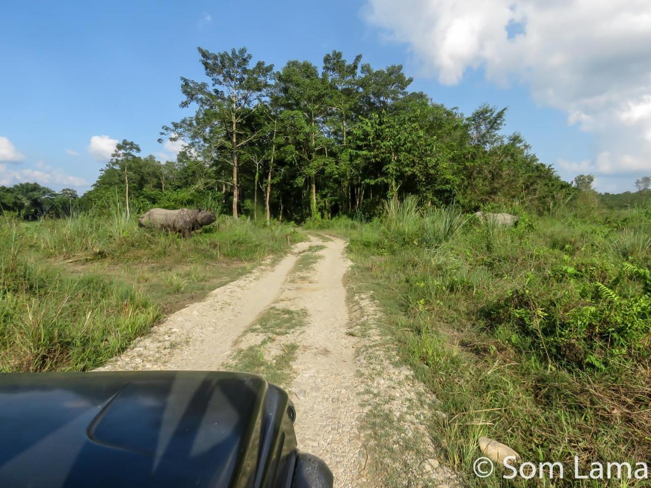 Eden jungle resort Sauraha Exterior foto